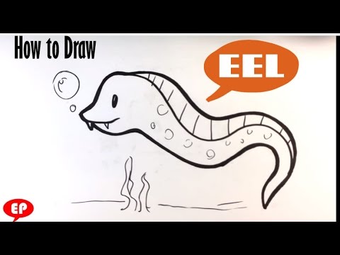 480x360 how to draw an eel - Eel Drawing