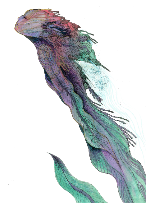 470x653 mermaid eel original drawing lalasdreambox - Eel Drawing