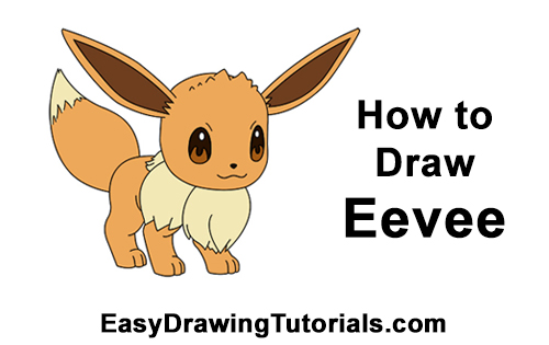 500x315 How To Draw Eevee From Pokemon - Eevee Drawing