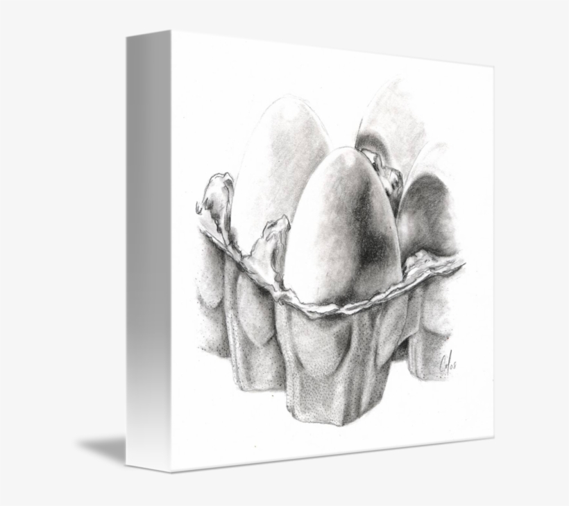 Egg Carton Drawing at Explore collection of Egg