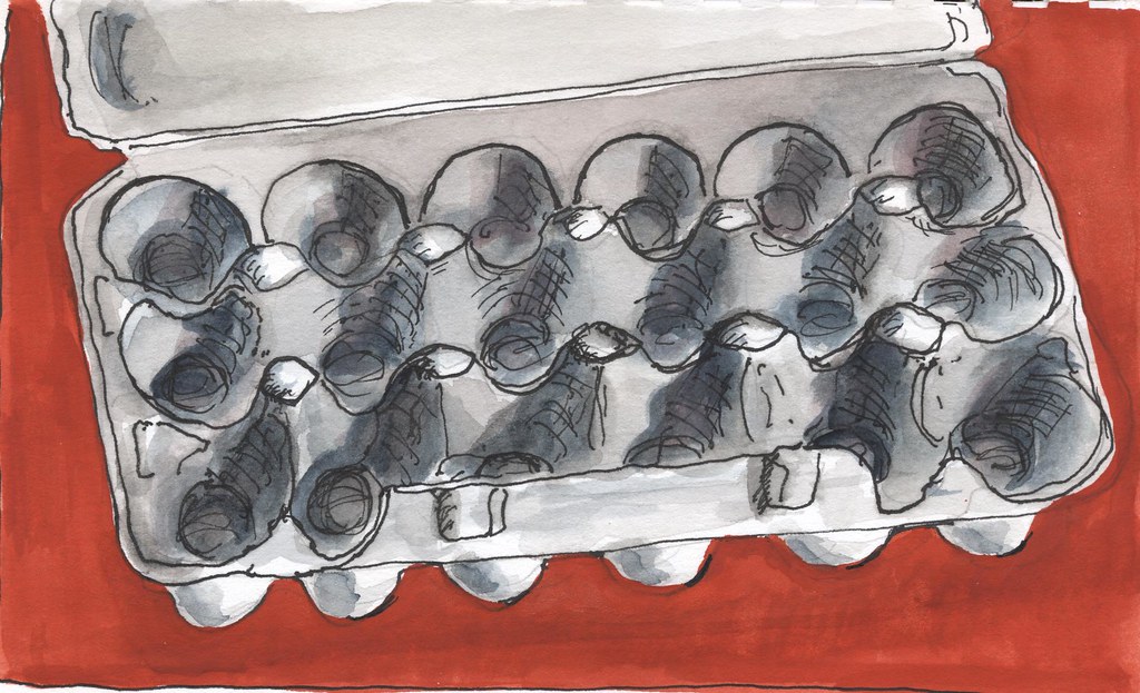 1024x623 edim - Egg Carton Drawing