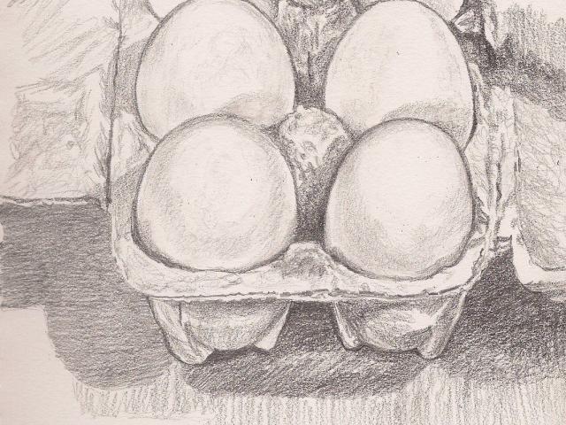 640x480 free drawn egg, download free clip art - Egg Carton Drawing