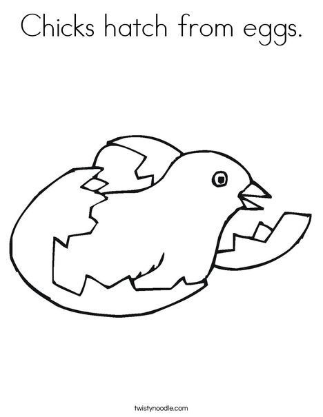 468x605 Chicks Hatch From Eggs Coloring Page - Egg Hatching Drawing