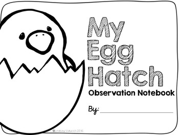 350x263 Classroom Egg Hatch Observation Journal And Lesson Materials Tpt - Egg Hatching Drawing