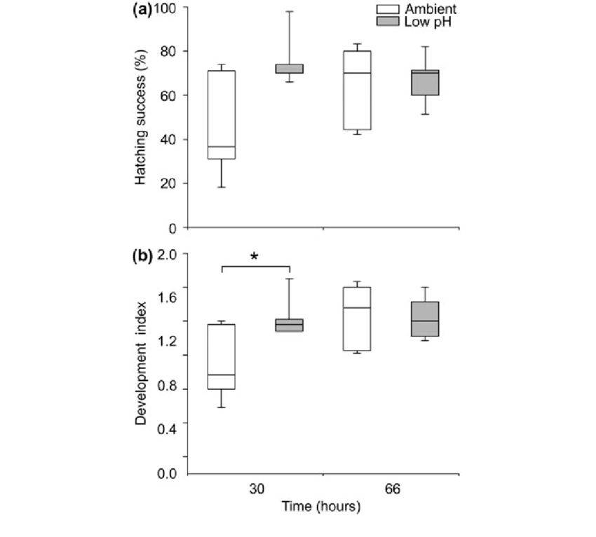 850x767 Egg Hatching Success - Egg Hatching Drawing