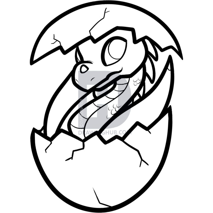 720x720 How To Draw A Dragon Hatchling, Dragon Hatchling, Step - Egg Line Drawing
