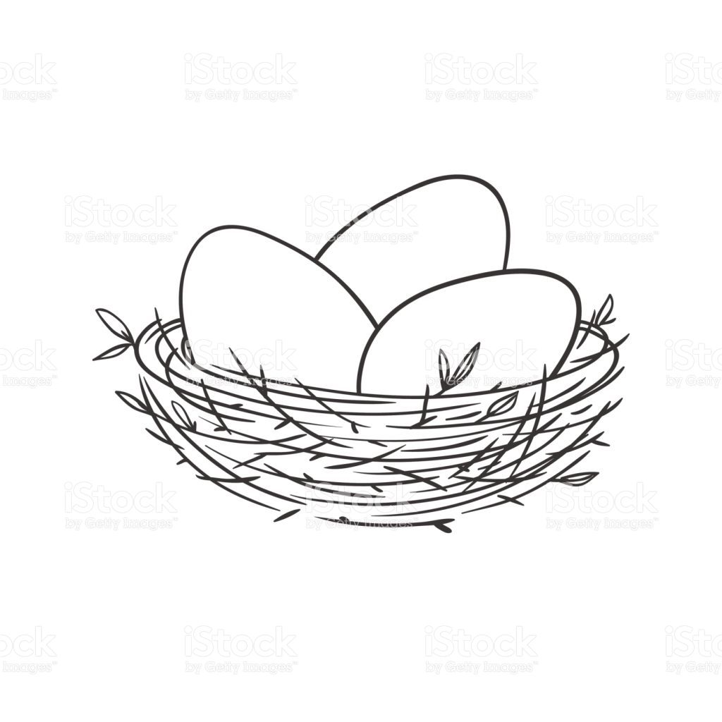 1024x1024 Nest With Eggs Isolated On White Royalty Free Stock Vector Art - Egg Line Drawing