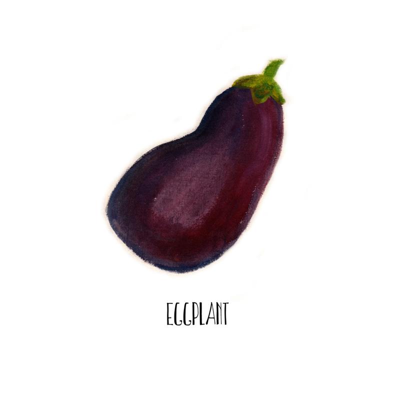 794x794 eggplant painting food illustration eggplant drawing etsy - Eggplant Drawing
