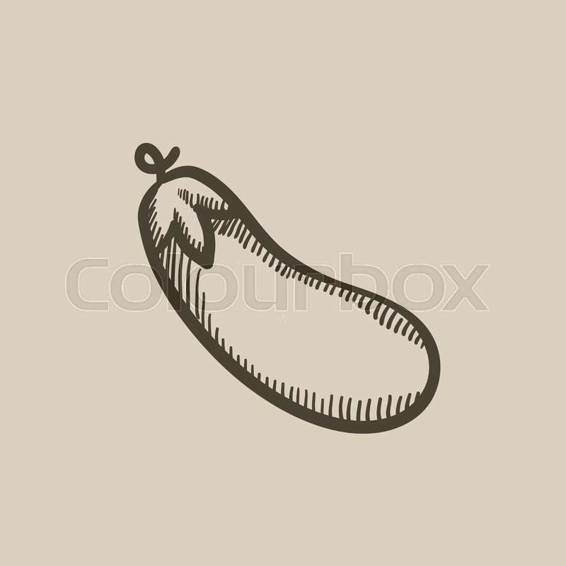 800x800 eggplant vector sketch icon isolated stock vector colourbox - Eggplant Drawing