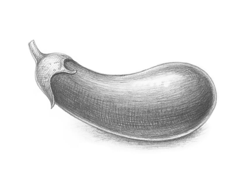 850x615 how to draw different varieties of berry - Eggplant Drawing