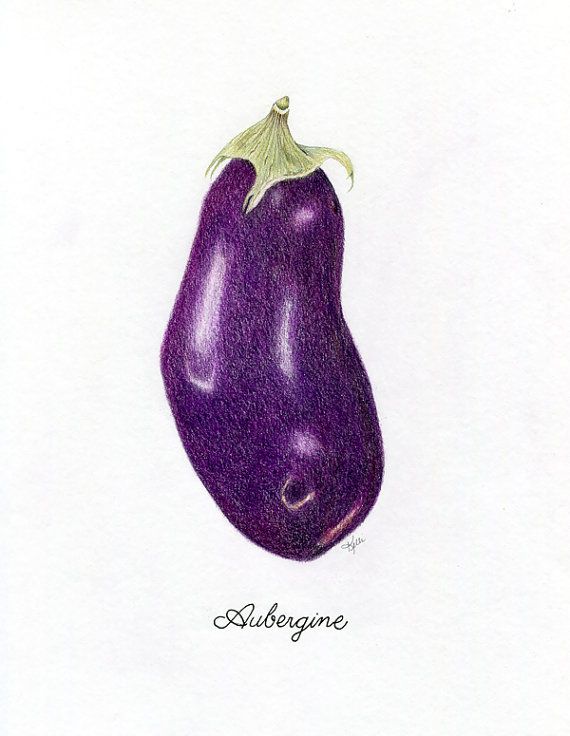 570x736 eggplant art print - Eggplant Drawing