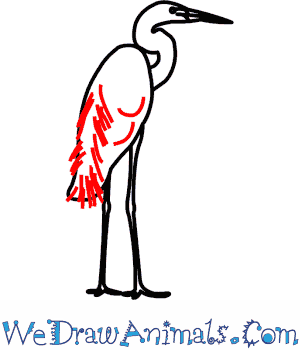 300x350 How To Draw A Great Egret - Egret Drawing