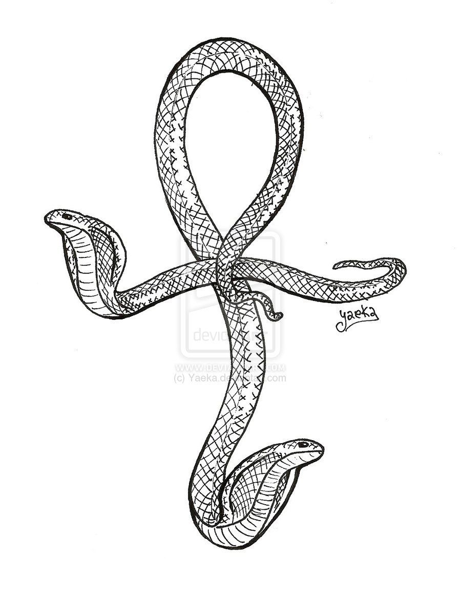 900x1180 egyptian ankh snake snake ankh - Egyptian Ankh Drawing