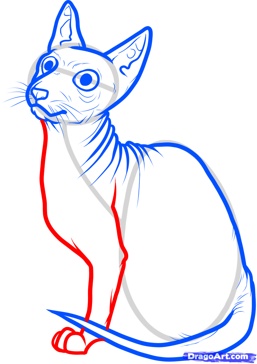 818x1160 how to draw egyptian mythological creatures drawing competition - Egyptian Cat Drawing