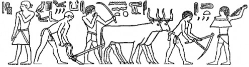 496x134 Ancient Egypt Education For Kids Owlcation - Egyptian Drawings