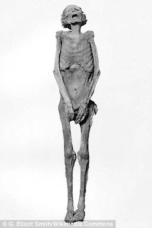 306x459 have experts solved the mystery of the screaming mummy daily - Egyptian Person Drawing