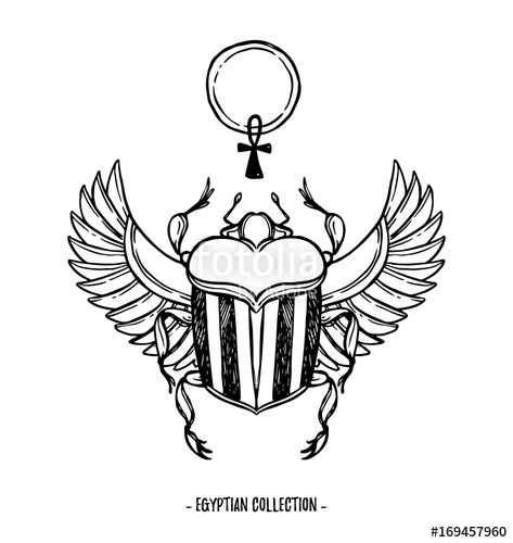 473x500 Hand Drawn Vector Illustration - Egyptian Scarab Beetle Drawing