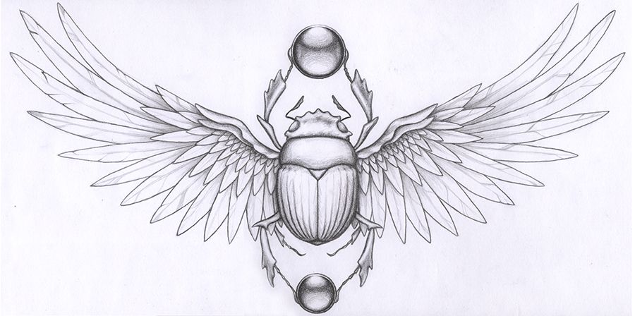900x448 scarab beetle tattoos scarab graphite paper tattoo commission - Egyptian Scarab Beetle Drawing
