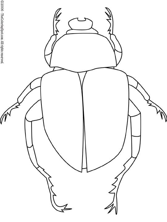 540x720 dung beetle egyptian scarab - Egyptian Scarab Beetle Drawing