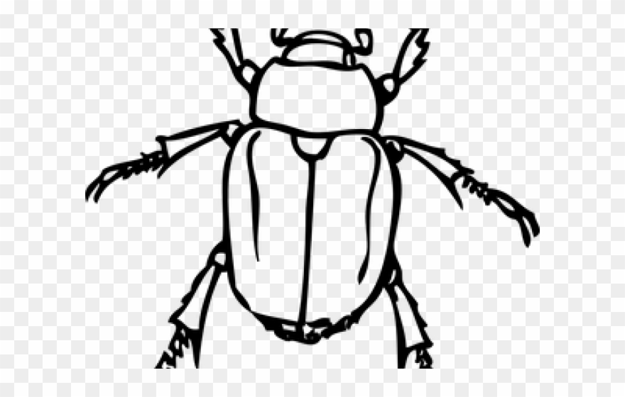880x560 Beetles Clipart Egyptian Beetle - Egyptian Scarab Drawing