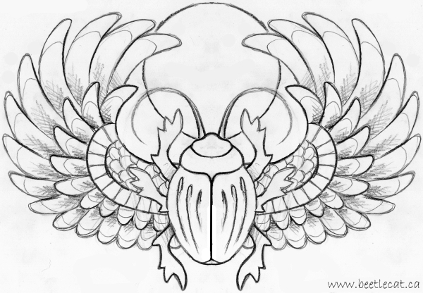 600x416 Drawn Bugs Scarab Beetle - Egyptian Scarab Drawing
