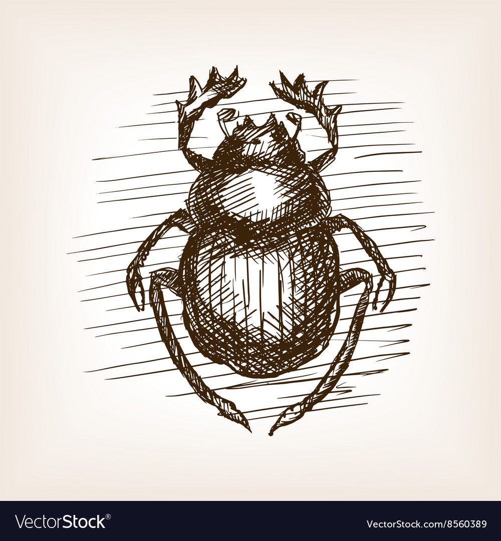 1000x1080 Huge Collection Of 'scarab Beetle Drawing' Download More Than - Egyptian Scarab Drawing