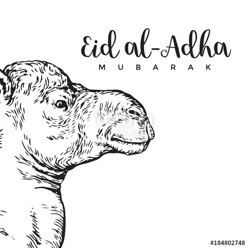 500x500 Vintage Hand Drawing Eid Al Adha Greeting Card Sketch Card - Eid Drawing