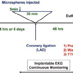 248x248 drawing depicting the insertion of the implant of the ekg probe - Ekg Drawing