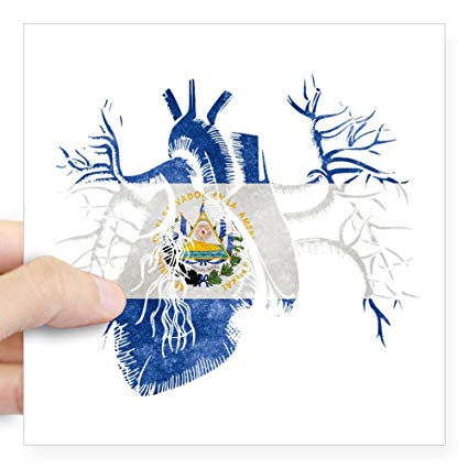 425x425 cafepress el salvador flag in real heart sticker - El Salvador Flag Drawing