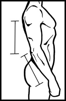 227x350 how to draw the human figure - Elbow Drawing