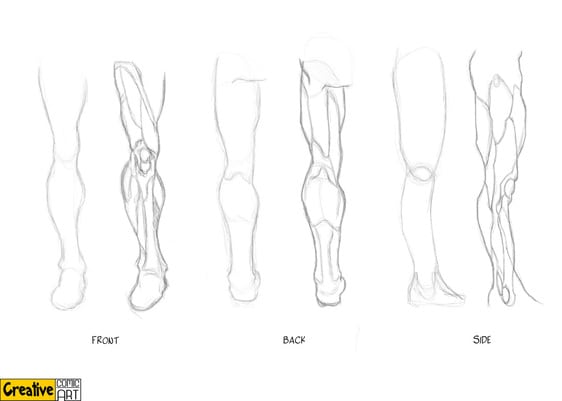 562x401 drawing basics body, arms, legs creative comic art - Elbow Drawing