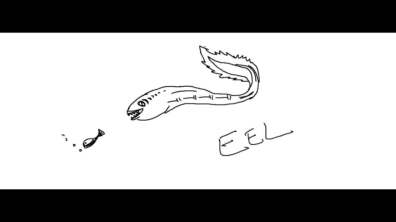 1280x720 easy kids drawing lessonshow to draw a cartoon electric eel - Electric Eel Drawing