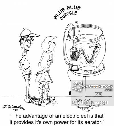 400x444 electric eel drawing - Electric Eel Drawing