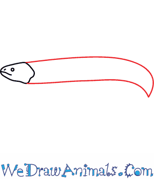 300x350 how to draw an electric eel - Electric Eel Drawing