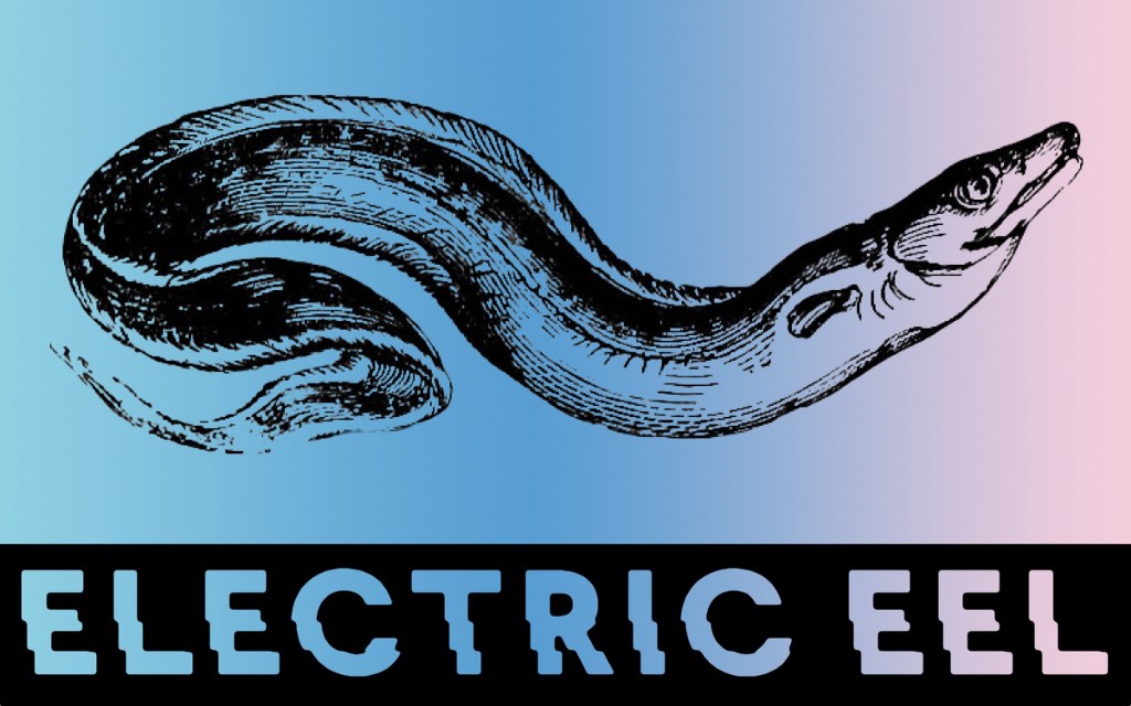 1024x640 introducing electric eel, a newsletter about the possibilities - Electric Eel Drawing