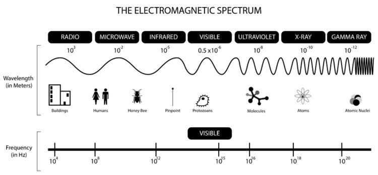 750x348 How Do Microwaves Work - Electromagnetic Spectrum Drawing For Kids