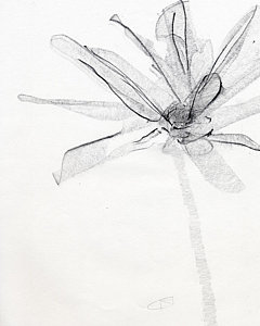 240x300 elegant drawings fine art america - Elegant Drawings