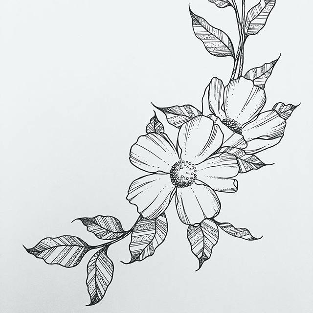640x640 flowers to draw flowers drawing ideas elegant pictures of flowers - Elegant Drawings