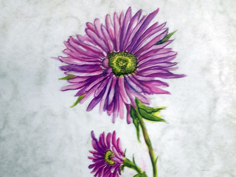 800x600 Pradnya's Art World - Elementary Drawing