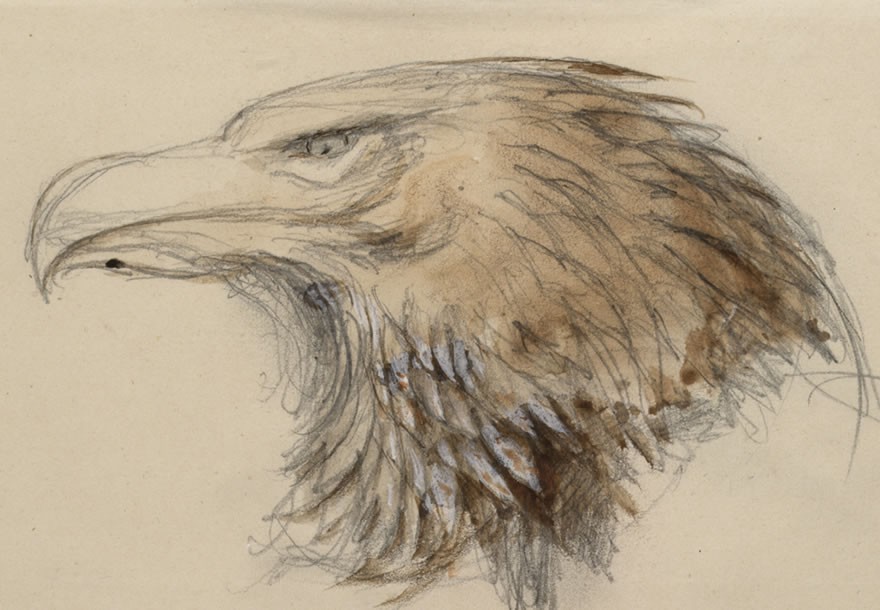 880x610 ashmolean the elements of drawing, john ruskin's teaching - Elements Of Drawing