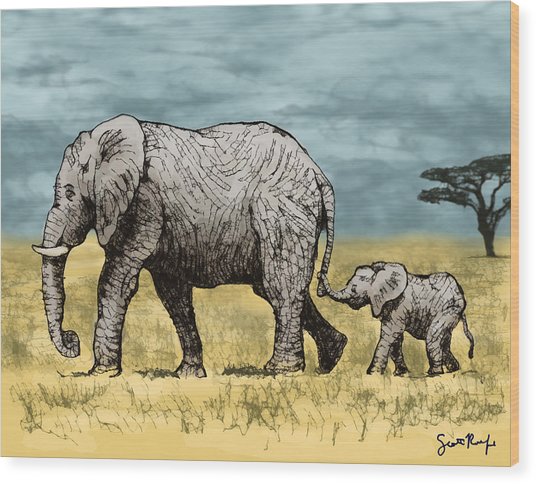 536x484 Elephant And Baby Digital Art - Elephant And Baby Drawing