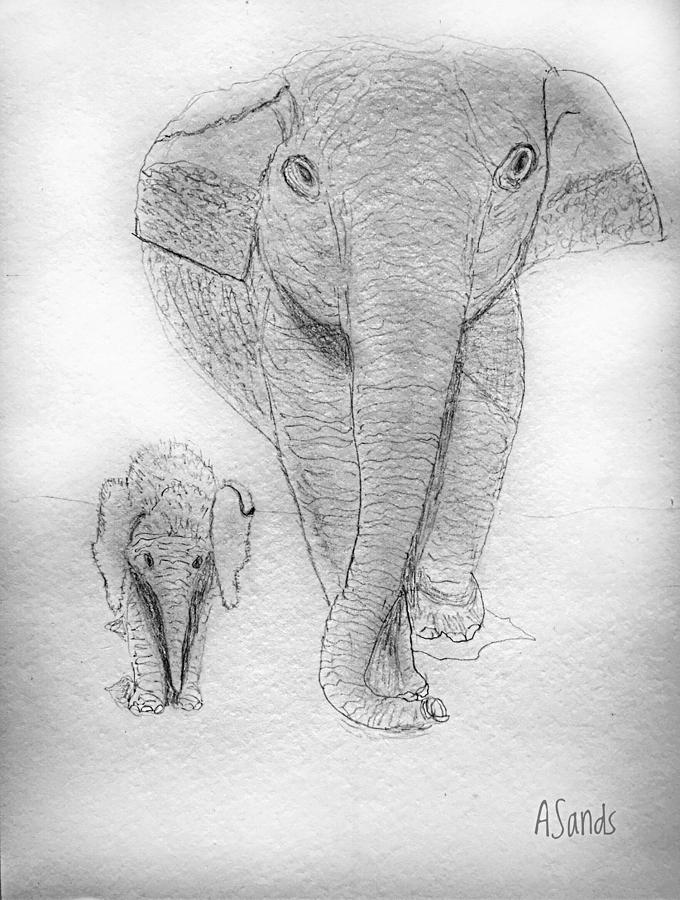 680x900 Elephant And Baby Drawing - Elephant And Baby Drawing