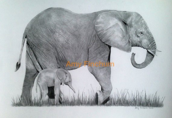 570x391 Elephant And Baby Print Pencil Drawing Elephant Black And Etsy - Elephant And Baby Drawing