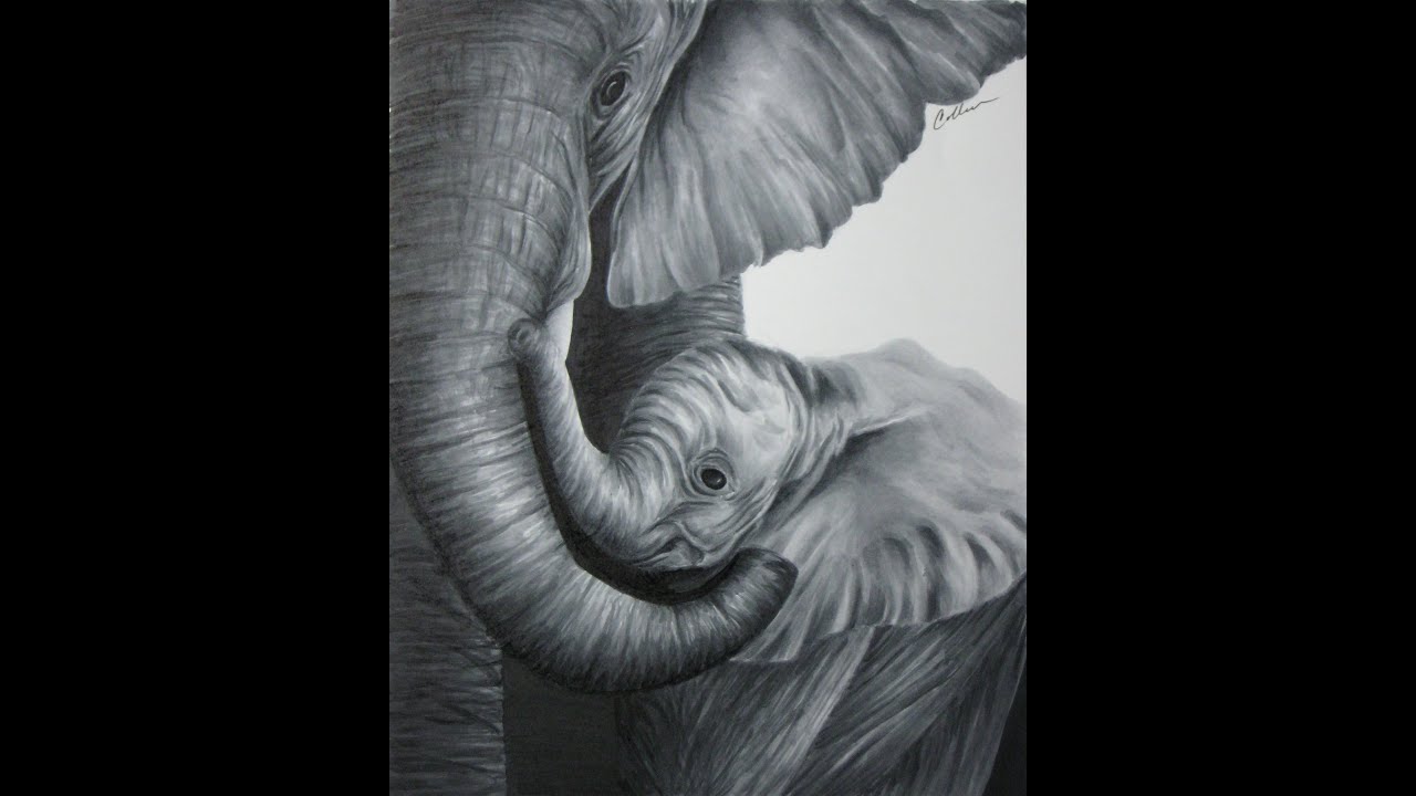 1280x720 Elephant Mom And Baby Timelapse Copic Marker Drawing - Elephant And Baby Drawing