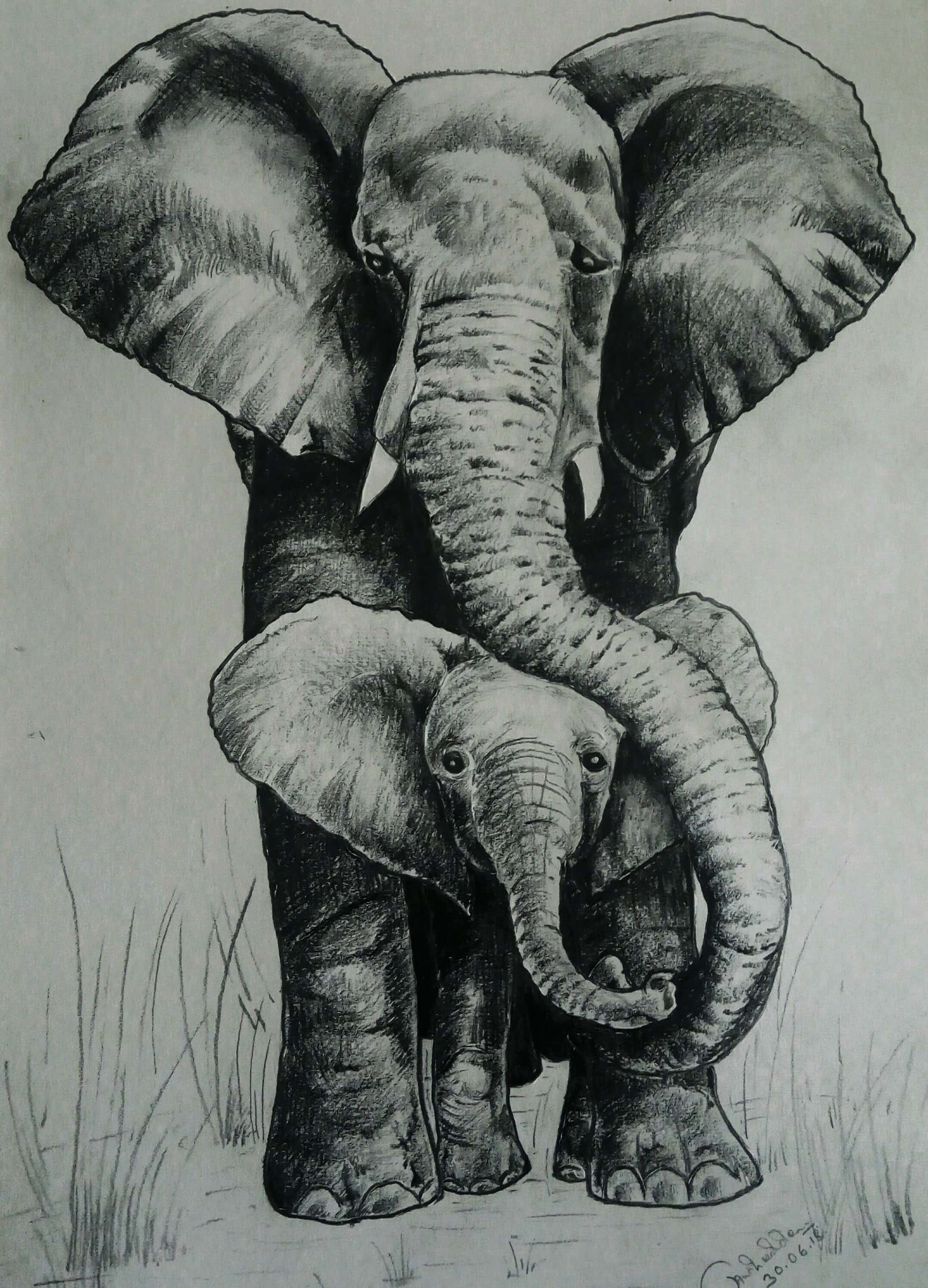 2152x2988 Mother And Baby Buy Fine Art Online - Elephant And Baby Drawing