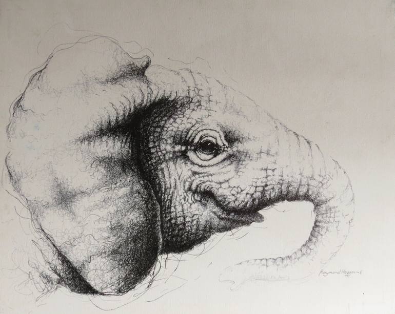 770x613 Baby Elephant Ink Drawing Study For Sculpture Drawing - Elephant And Baby Drawing