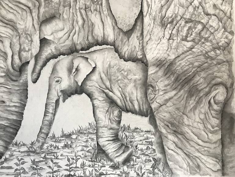 770x578 Baby Elephant And Mom Drawing - Elephant And Baby Drawing