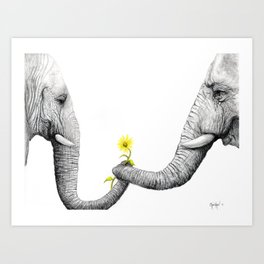 264x264 Elephant Drawing Art Prints - Elephant Art Drawing