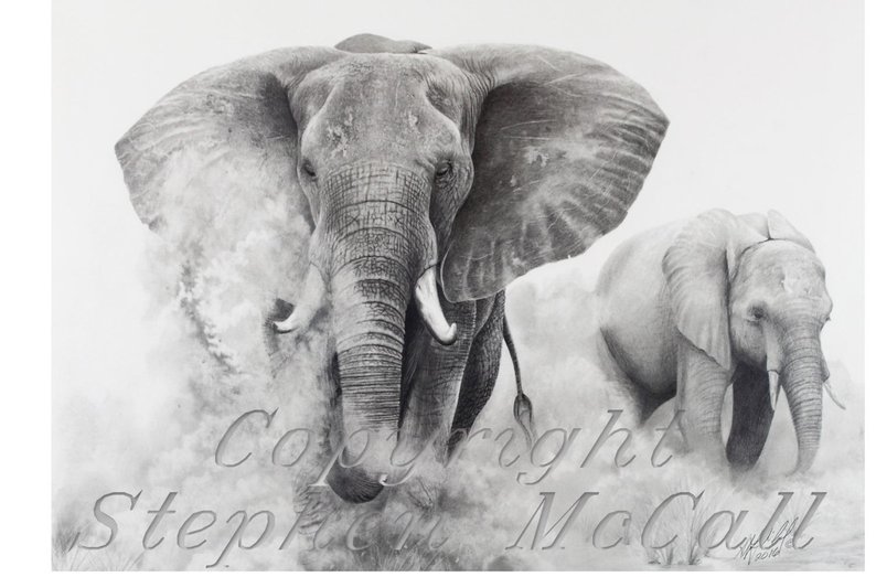 794x523 Original Pencil Drawing Elephants In The Dust - Elephant Art Drawing