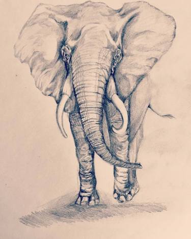375x469 Elephant The Real King Of The Jungle Drawing - Elephant Art Drawing